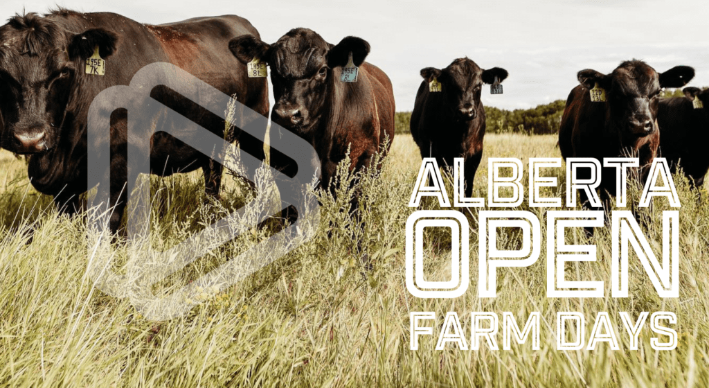 Alberta Open Farm Days header with image of cattle.